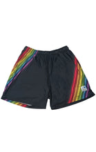 Load image into Gallery viewer, Charlie Siragusa Laser Rainbow Volley Shorts
