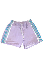 Load image into Gallery viewer, Charlie Siragusa Lilac and Stripes Volley Shorts
