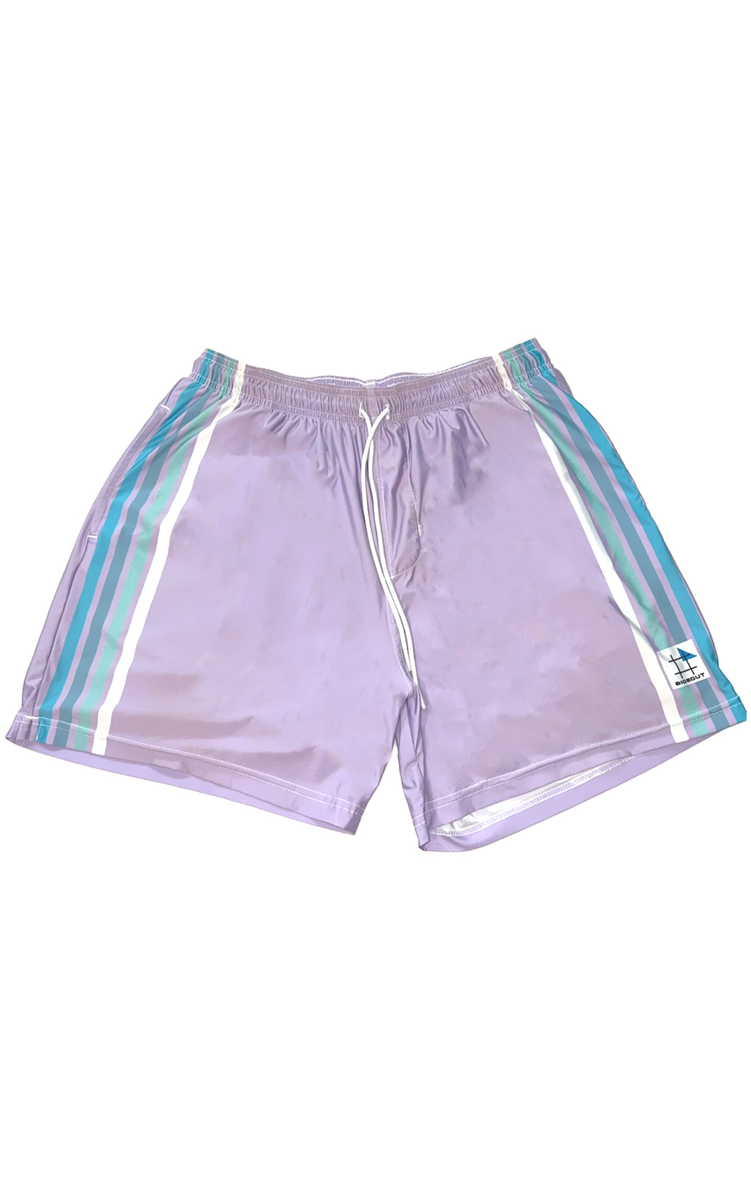 Charlie Siragusa Lilac and Stripes Volley Shorts